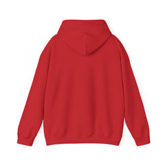 Festival of Lights Holiday Hoodie
