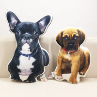 Pet Supplies