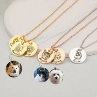 Pet Supplies